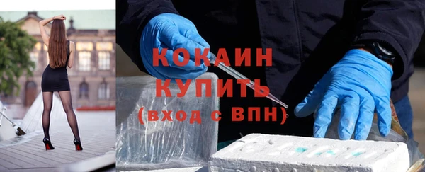 винт Новозыбков