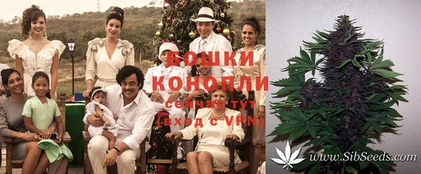 mdpv Няндома