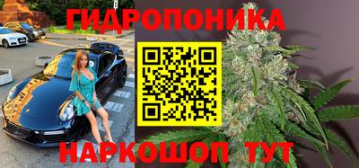шишки Заводоуковск