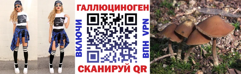 Галлюциногенные грибы Psilocybine cubensis  Советский 