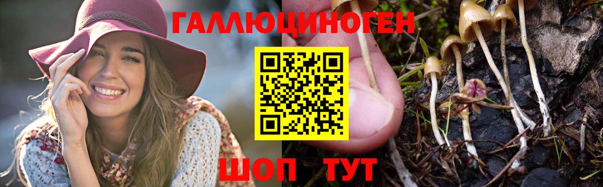 Галлюциногенные грибы мухоморы Советский