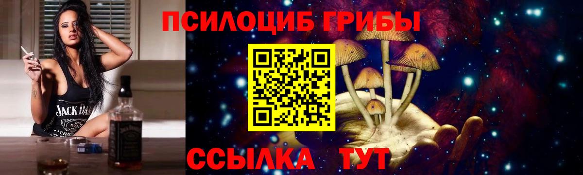 Советский  Галлюциногенные грибы прущие грибы  Вход с VPN 