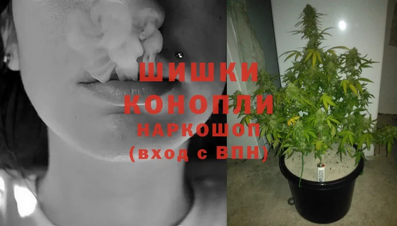 блэк спрут как зайти  Советский  это какой сайт  продажа наркотиков  Каннабис Ganja 